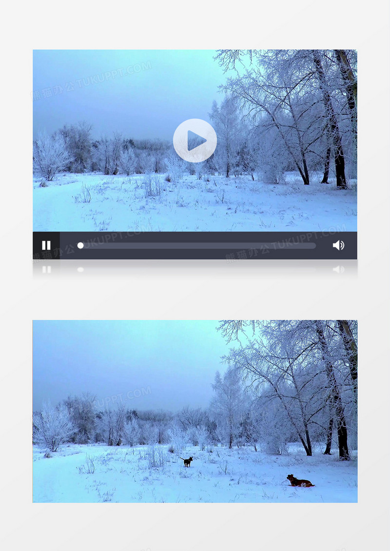 高清实拍雪地里奔跑的小狗实拍视频素材  