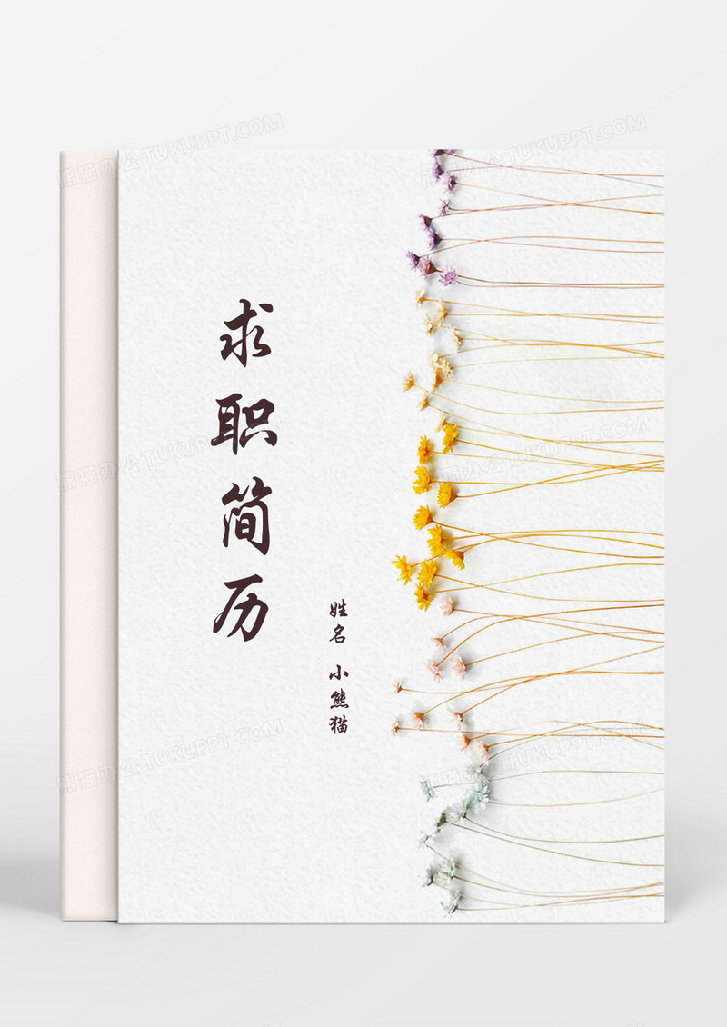 小清新教师成套简历word模板