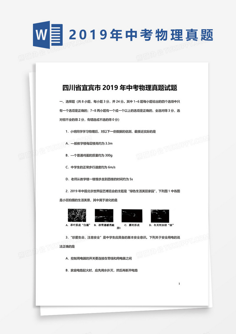 四川省宜宾市2019年中考物理真题试题word模板