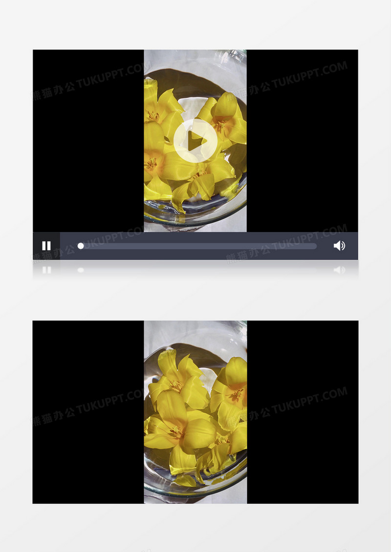 在水中不断摇晃的黄色水仙实拍竖版视频素材