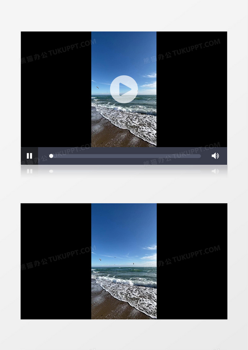 海边汹涌的海水和天上飞翔的海鸥实拍竖版视频素材