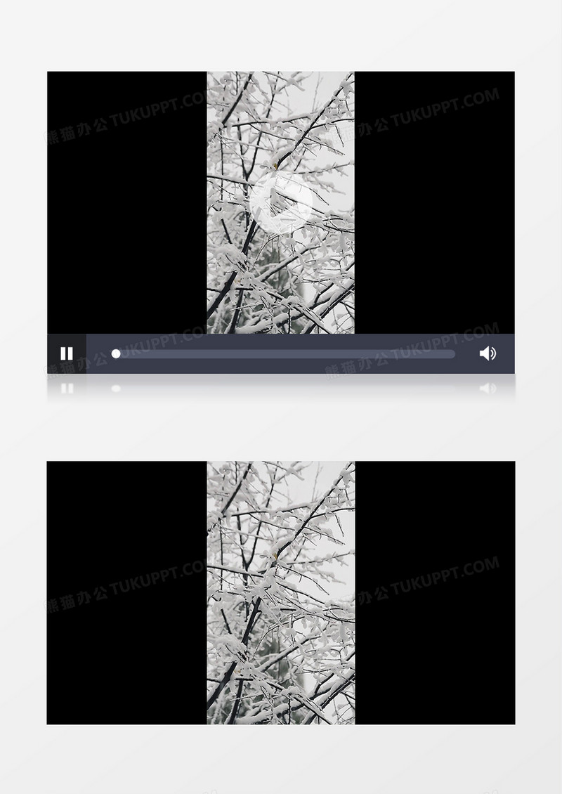 高清实拍树枝上的雪实拍竖版视频素材
