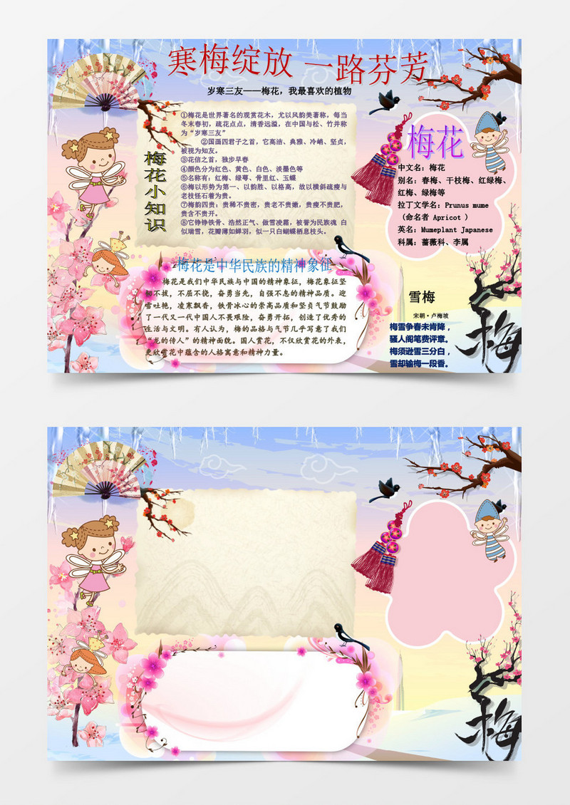 梅花小知识宣传手抄报word