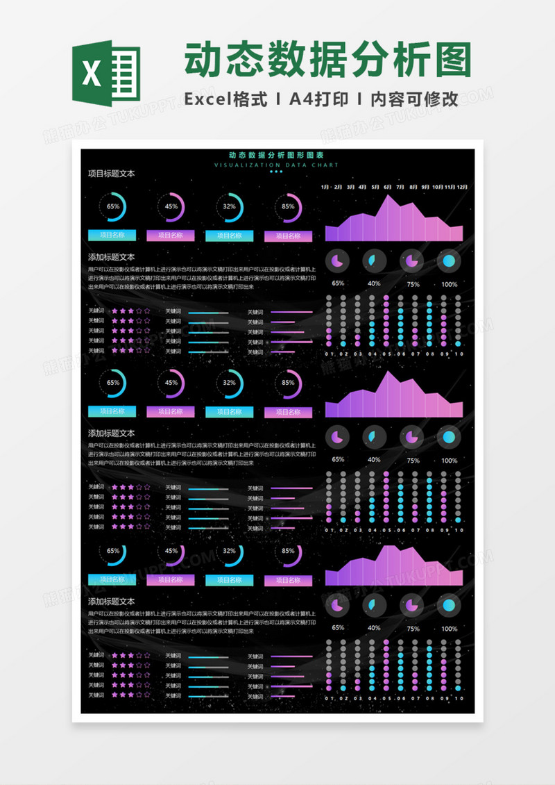 动态数据分析图形图表Execl模板