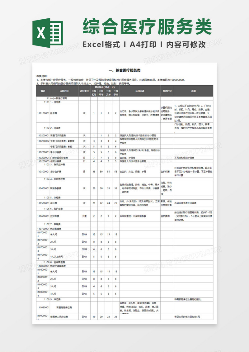 综合医疗服务类Execl模板