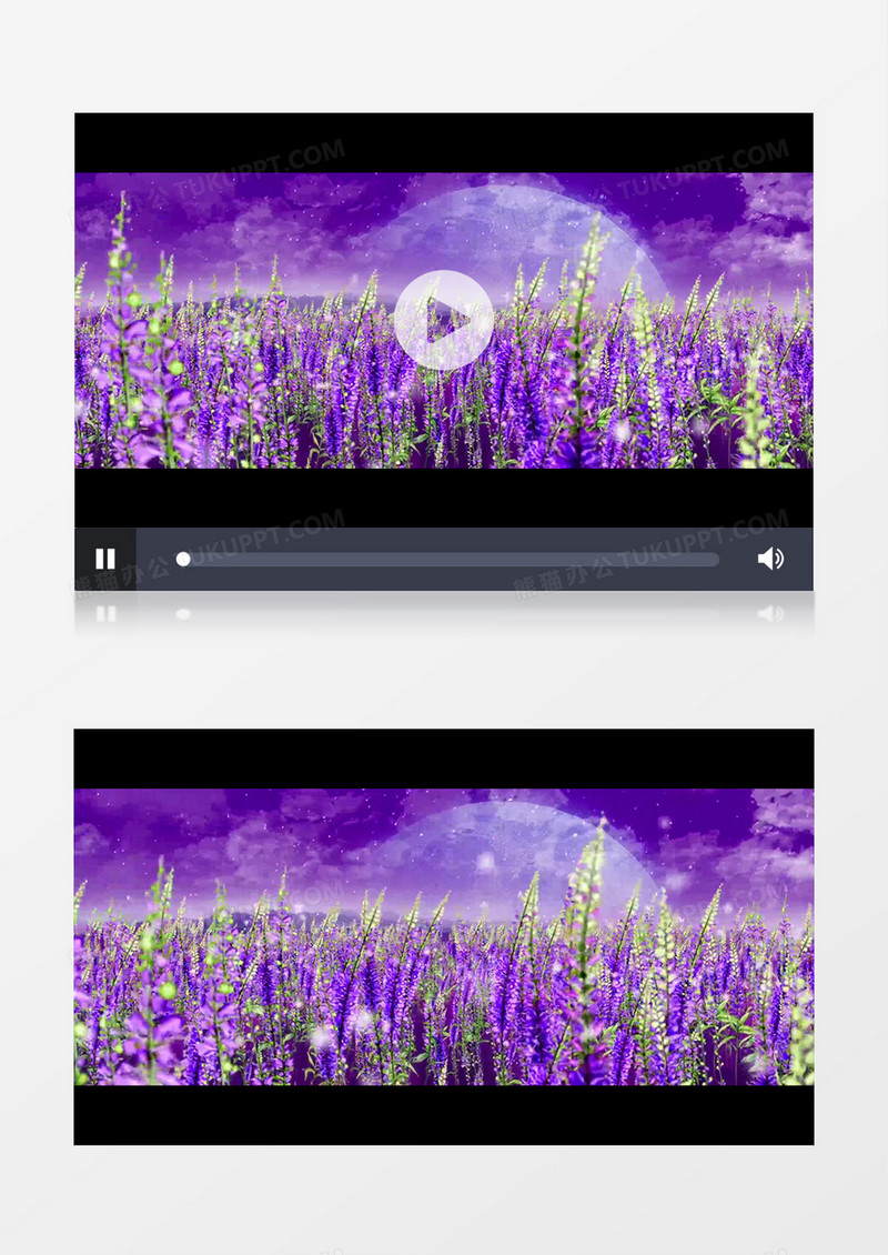 紫色大气唯美薰衣草花海背景视频（有音乐）