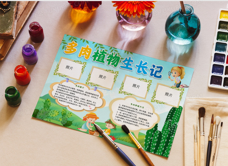 多肉植物生长记手抄报word小报