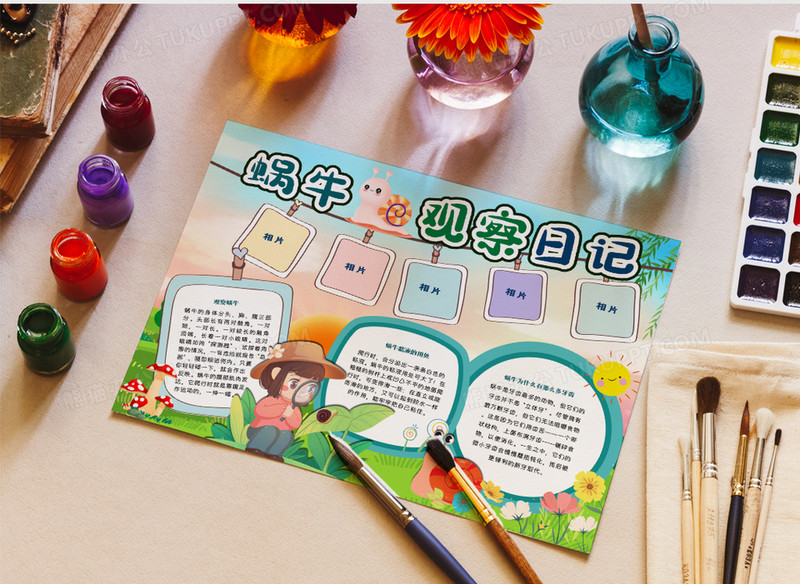 蜗牛观察日记手抄报