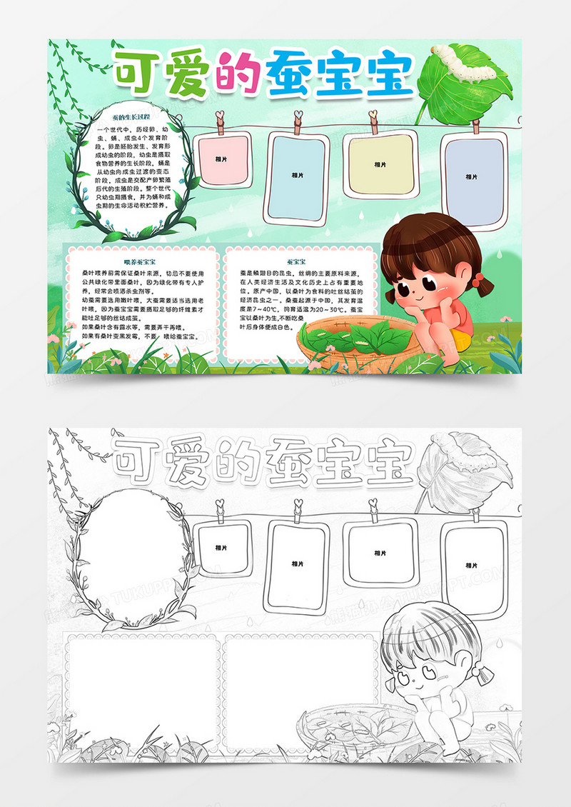 可爱的蚕宝宝观察日记