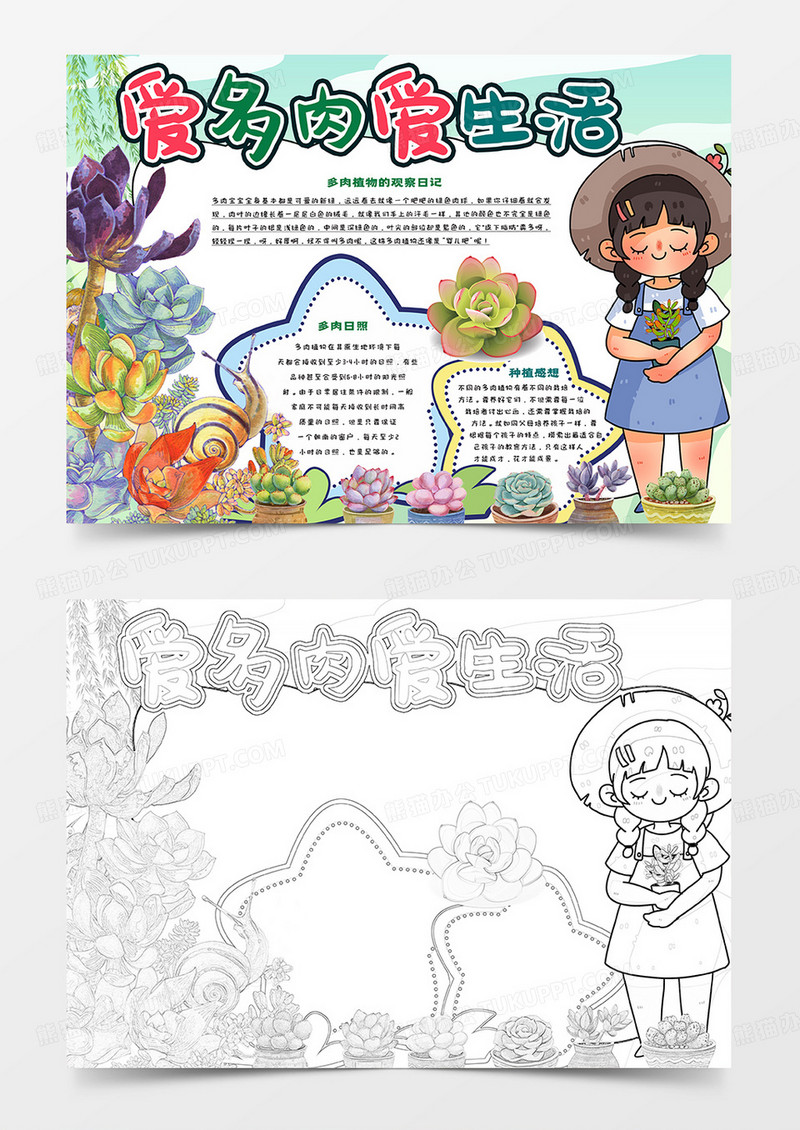 爱多肉爱生活手抄报