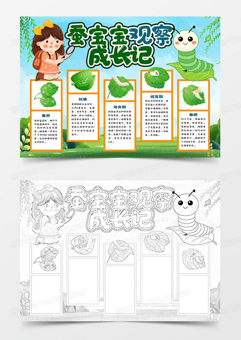 蚕宝宝观察成长记