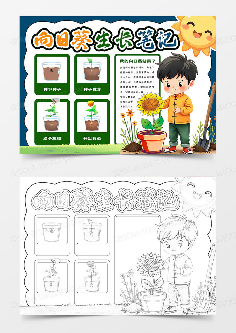 向日葵生长笔记卡通小报