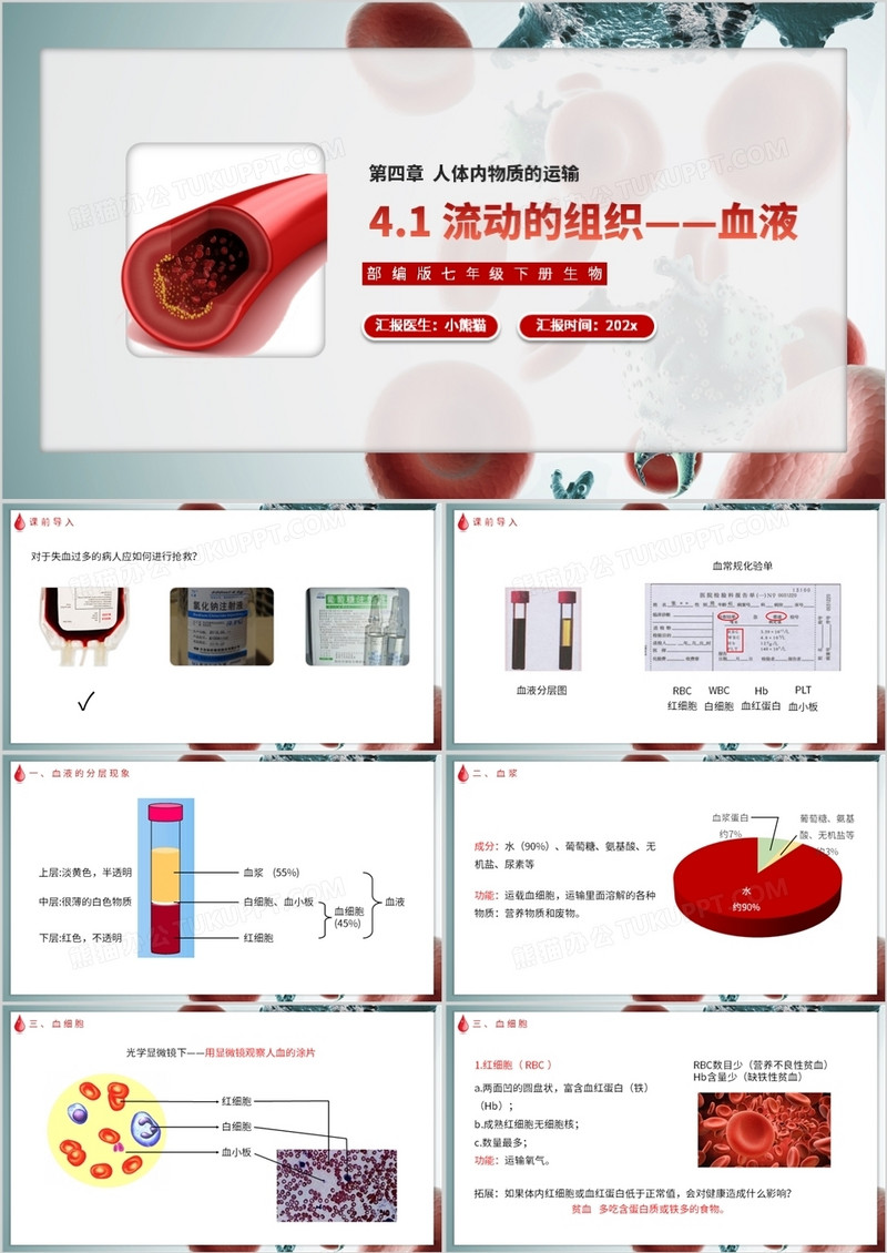 部编版七年级生物下册流动的组织——血液课件PPT模板