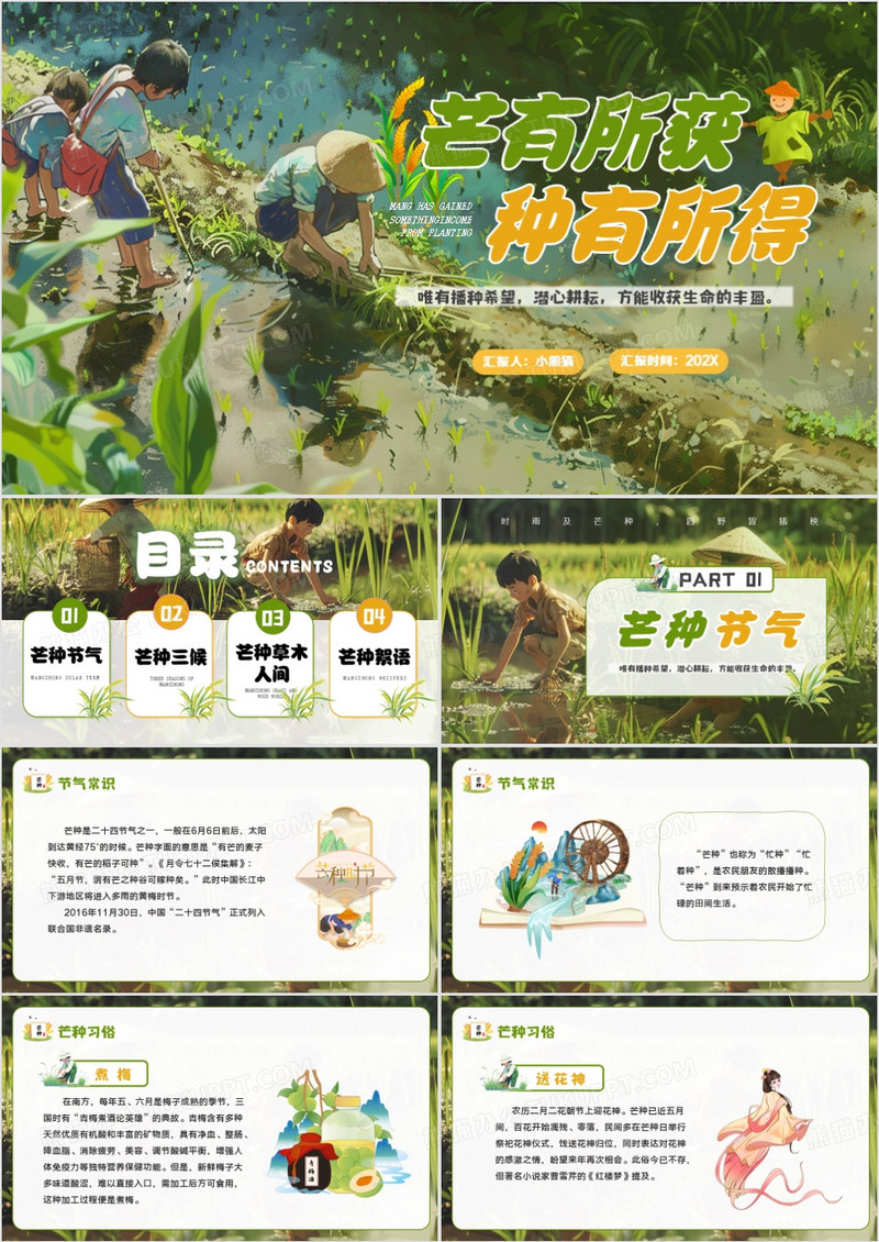 绿色插画风二十四节气之芒种介绍PPT模板
