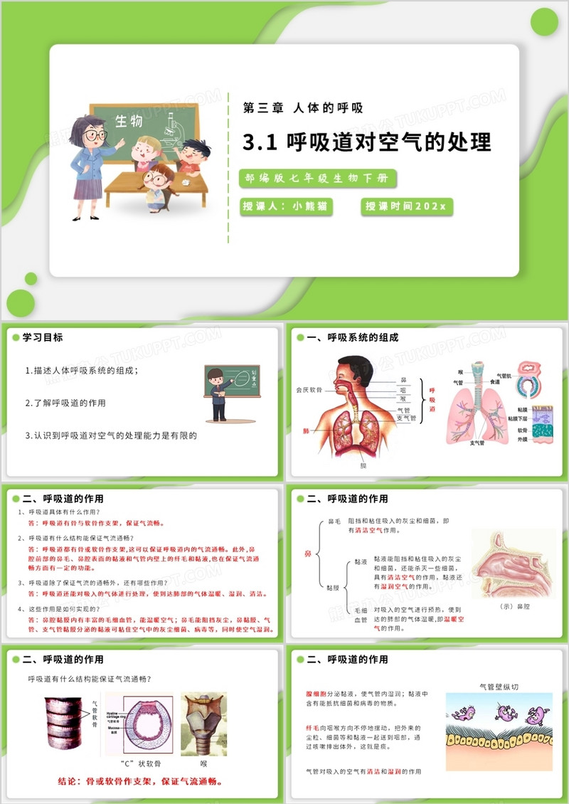 部编版七年级生物下册呼吸道对空气的处理课件PPT模板