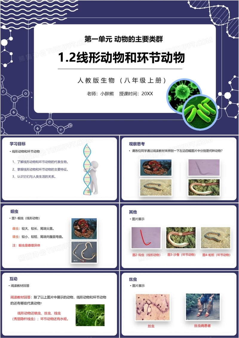 部编版八年级生物上册线形动物和环节动物PPT模板