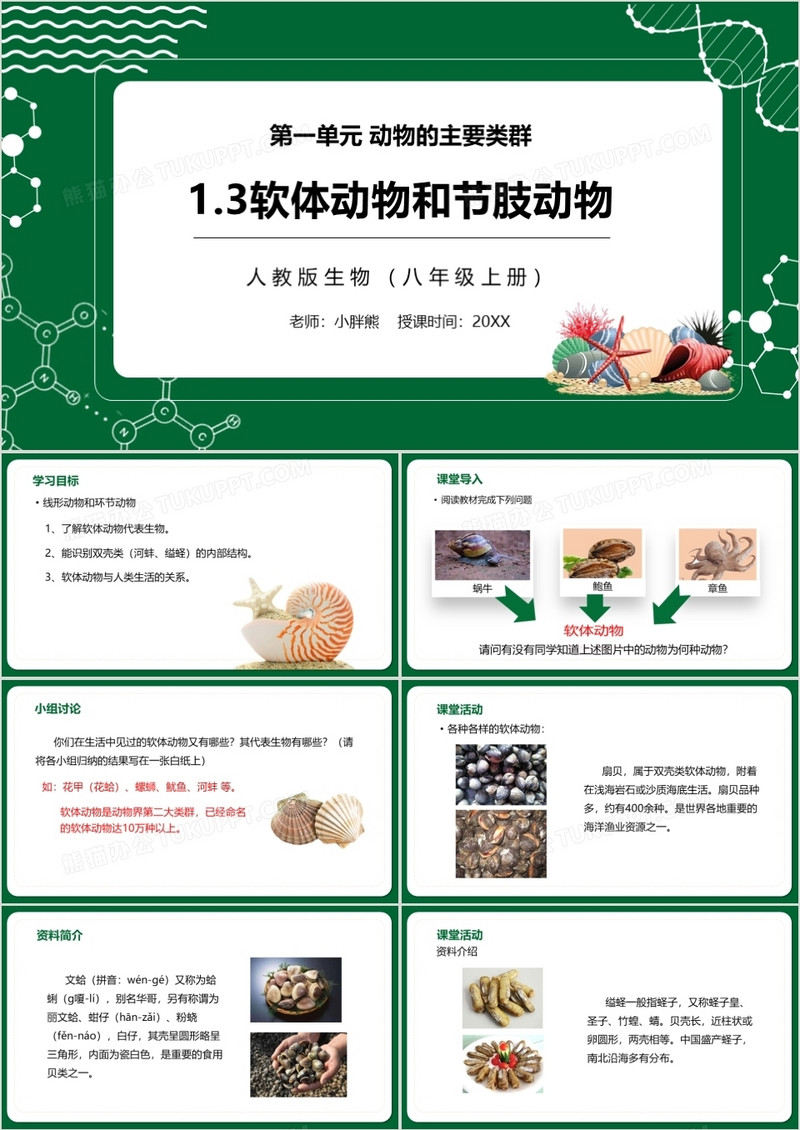 部编版八年级生物上册软体动物和节肢动物PPT模板