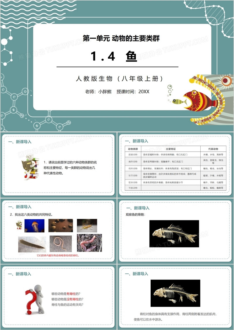 部编版八年级生物上册鱼PPT模板