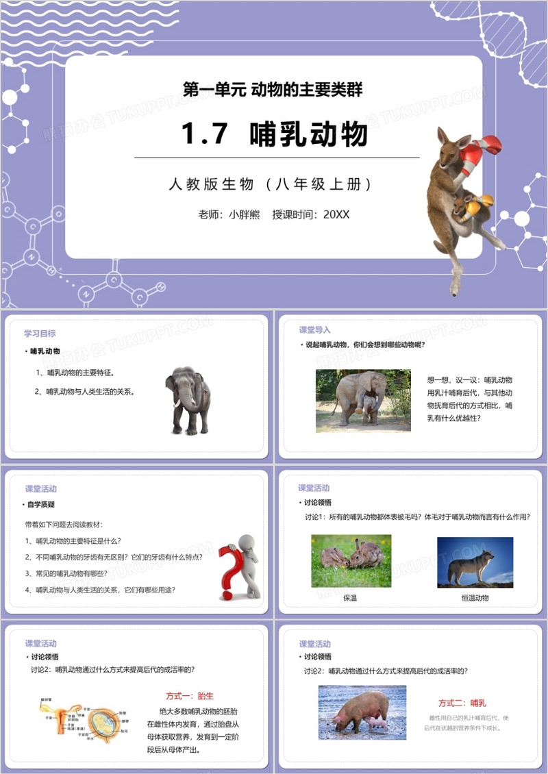 部编版八年级生物上册哺乳动物PPT模板