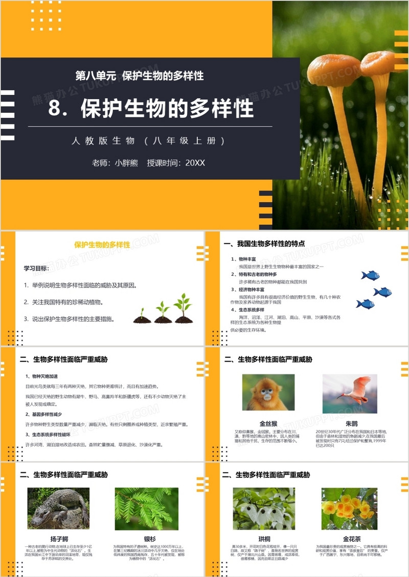部编版八年级生物上册保护生物的多样性课件PPT模板
