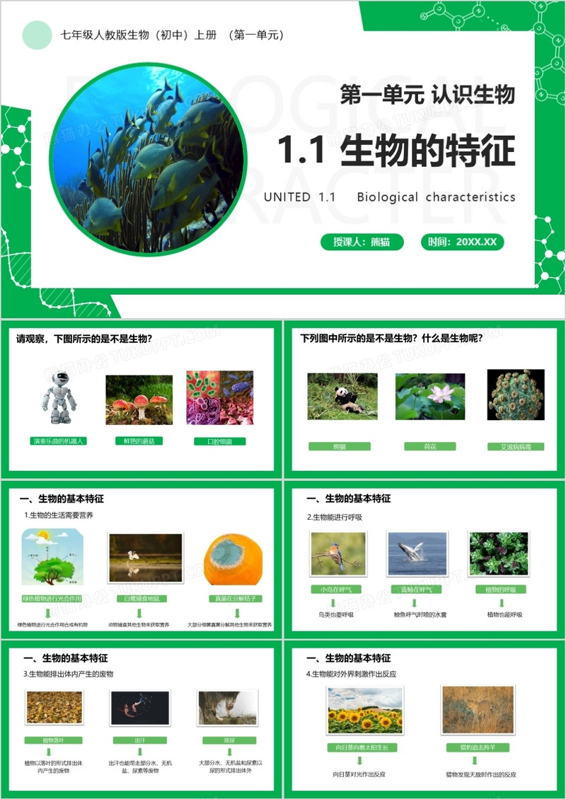 部编版七年级生物上册生物的特征PPT模板