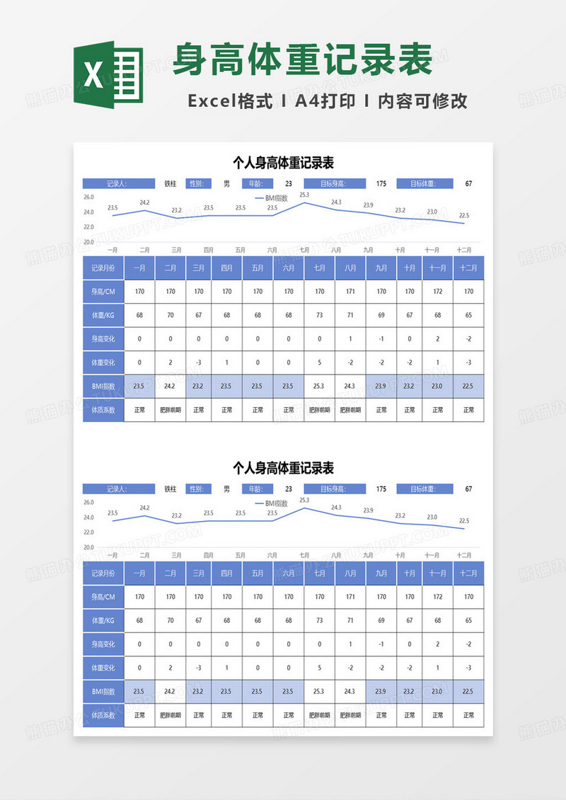 个人身高体重记录表excel模板