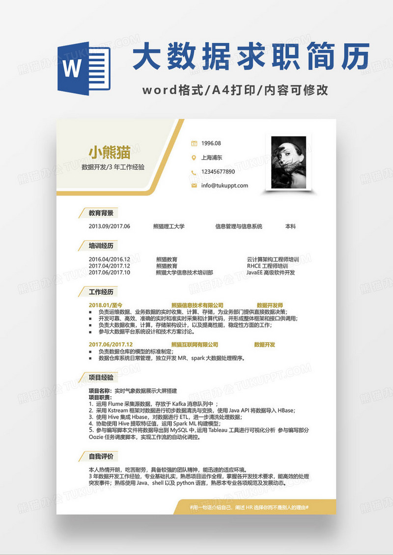 简约数据开发个人求职简历模板