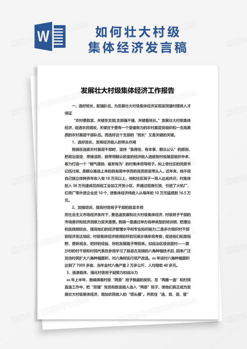 发展壮大村级集体经济工作报告word模板