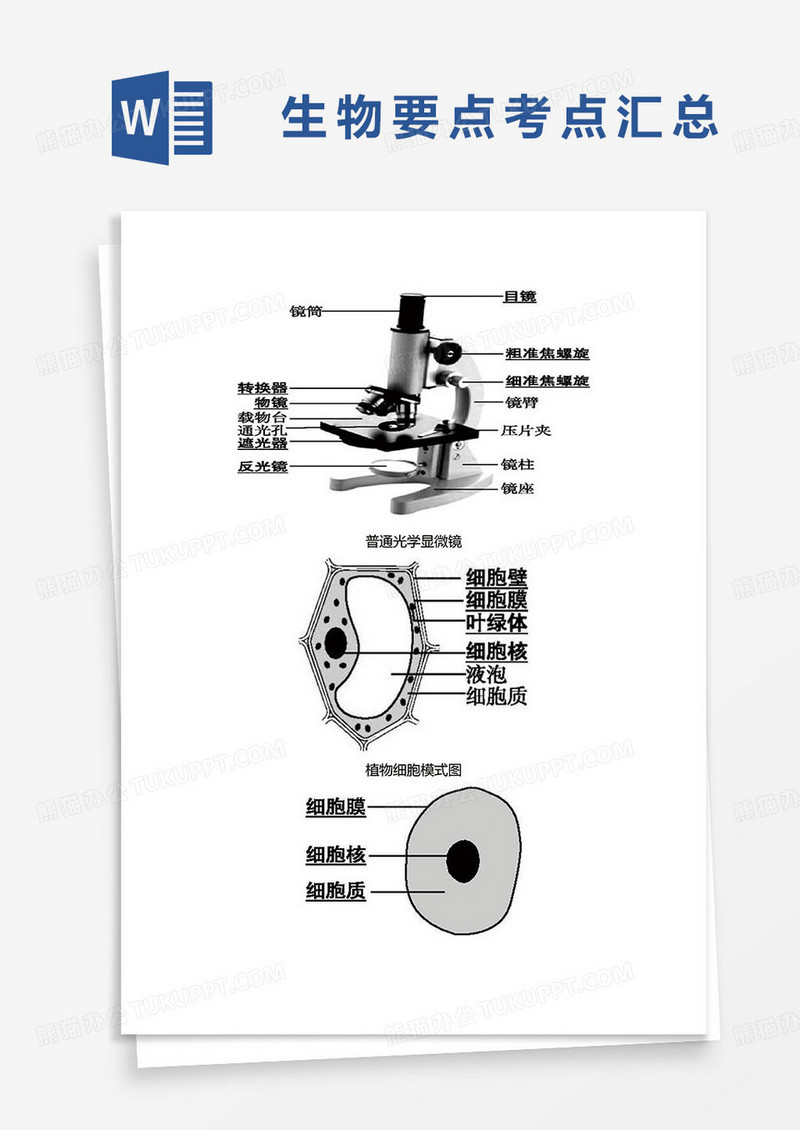 初中生物要点考点汇总图例word模板