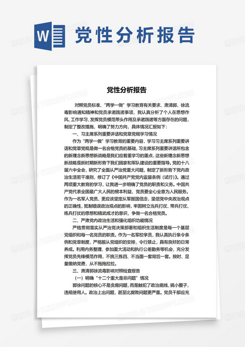 党性分析报告范本word模板