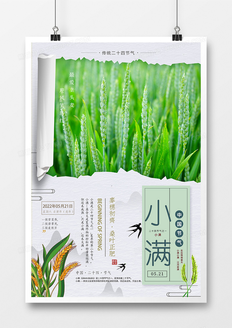 清新二十四节气小满海报