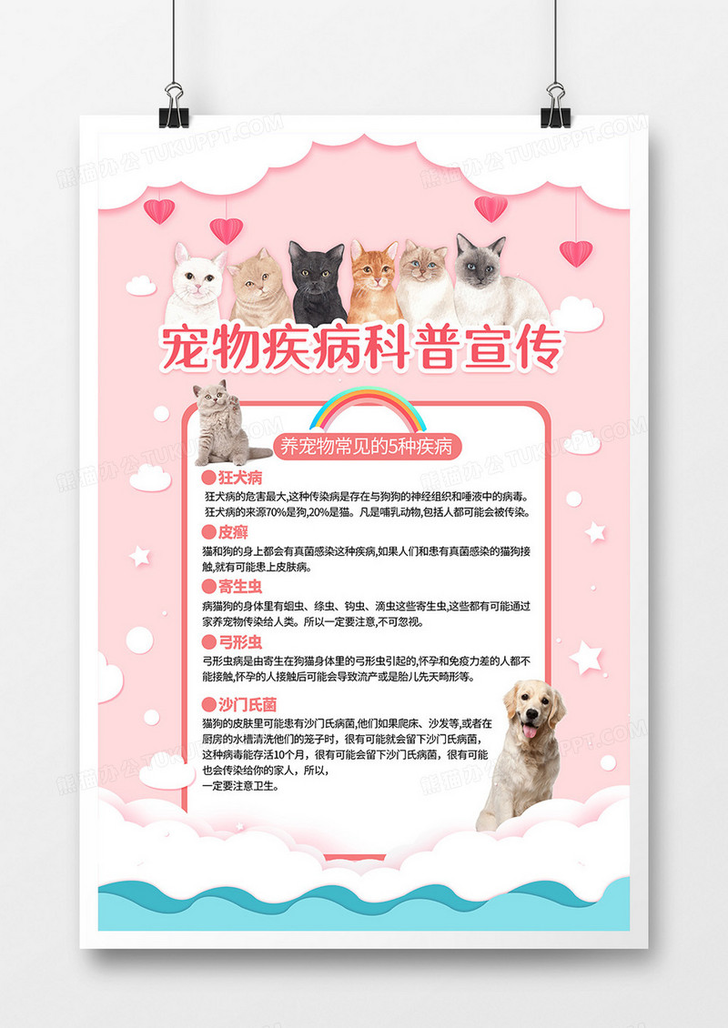 简约宠物疾病知识科普宣传海报