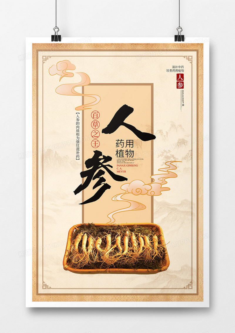 中国风中药人参科普海报