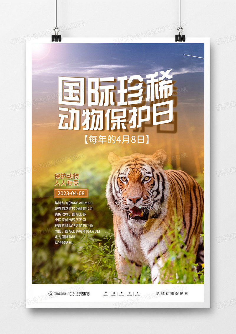 简约大气国际珍稀动物保护日宣传海报