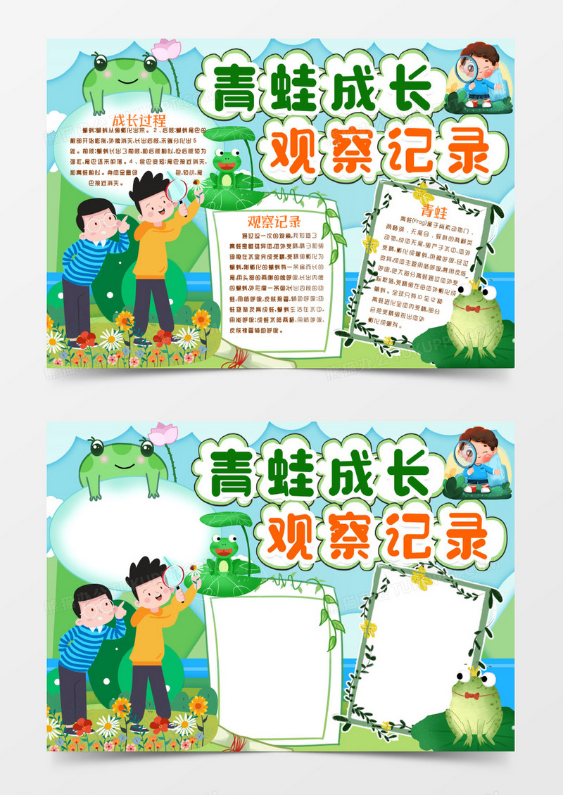 青蛙观察成长记录小报手抄报word模板
