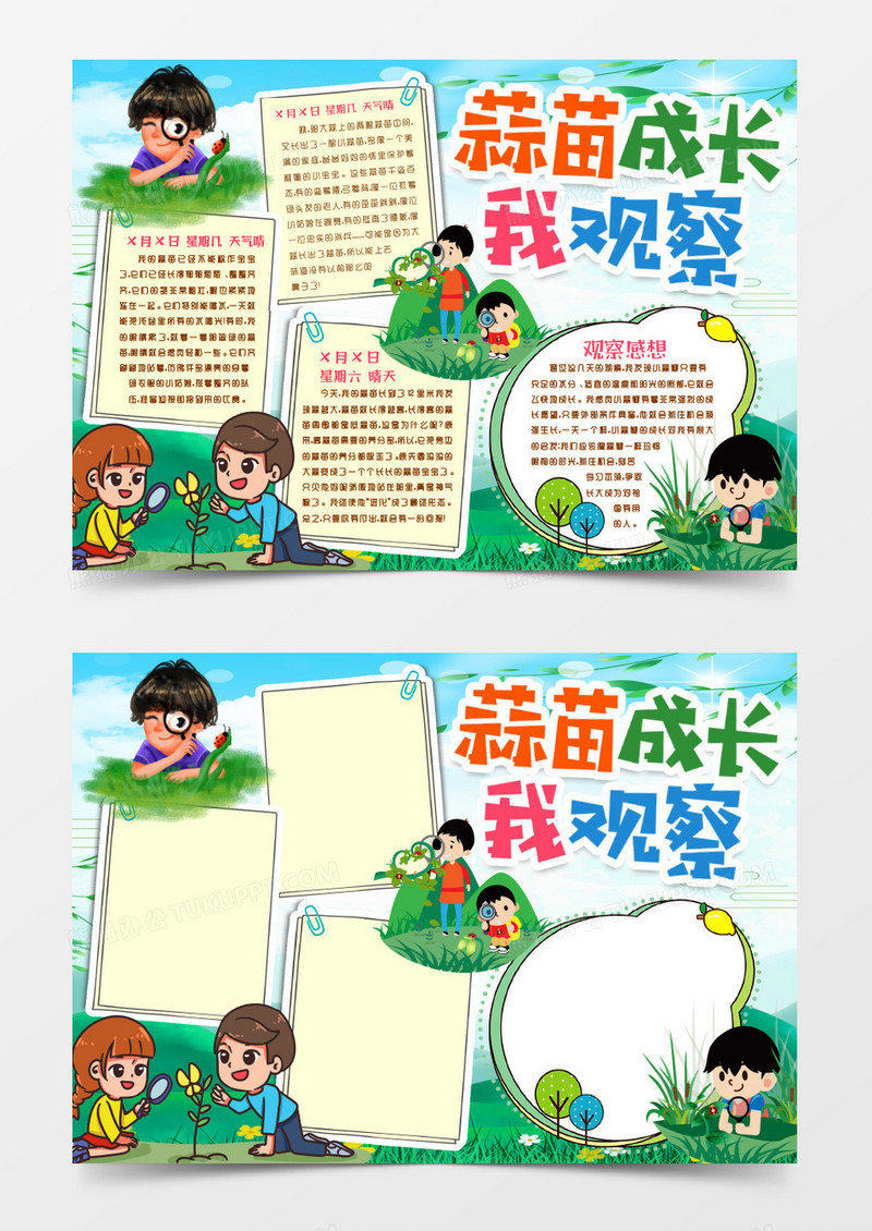 观察蒜苗成长记录小报手抄报word模版