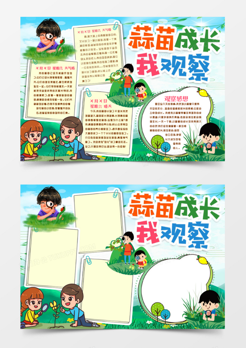 观察蒜苗成长记录小报手抄报word模版