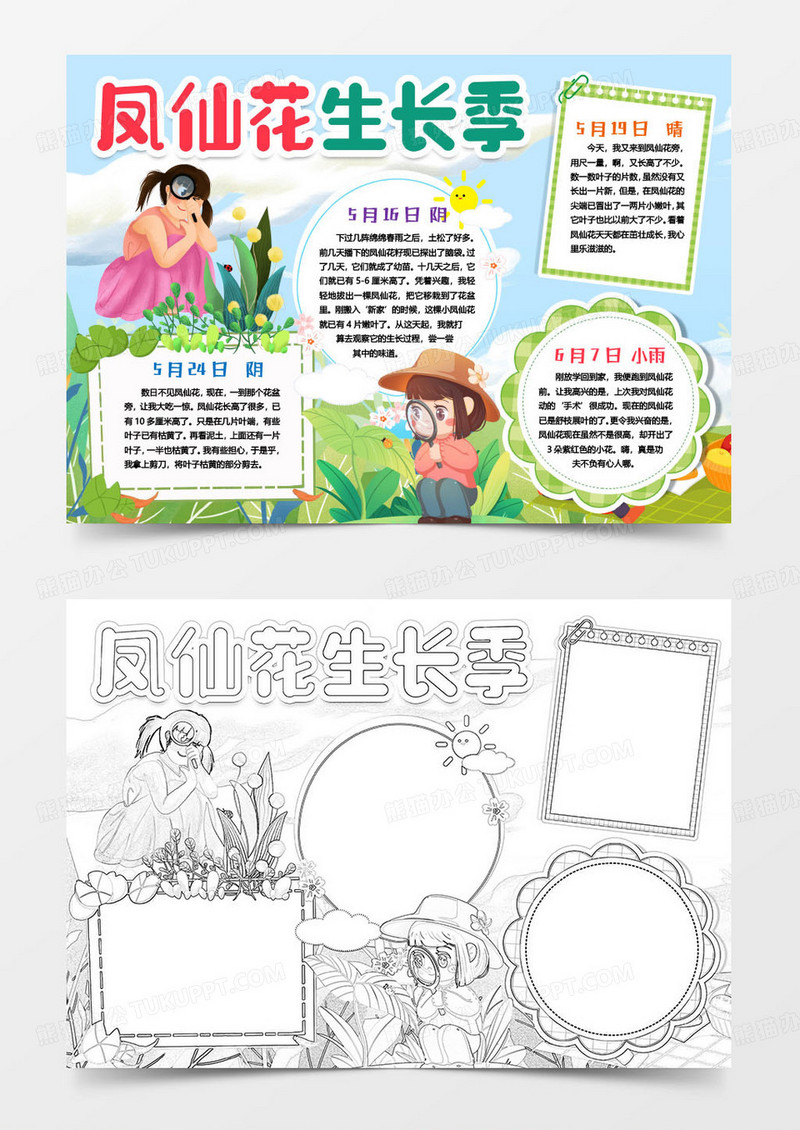 凤仙花成长记植物成长小报手抄报word模版