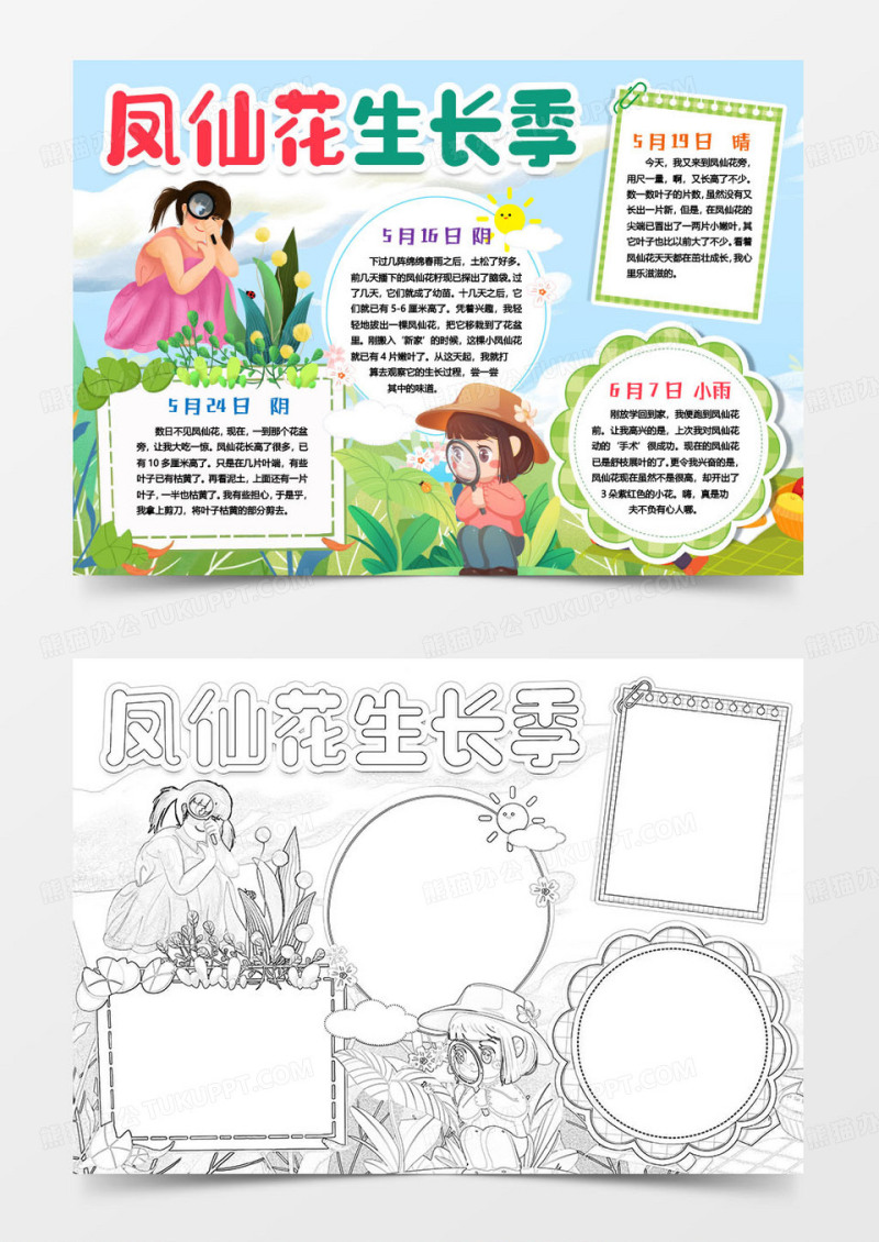 凤仙花成长记植物成长小报手抄报word模版