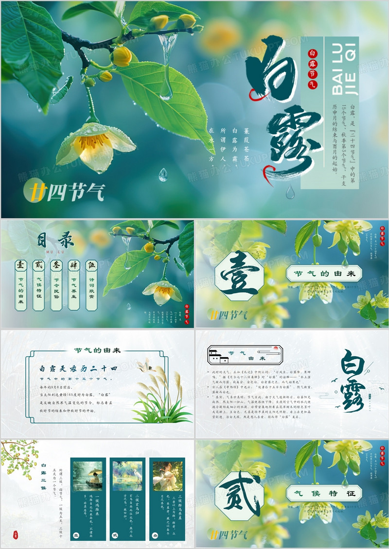 绿色插画清新风二十四节气之白露PPT模板