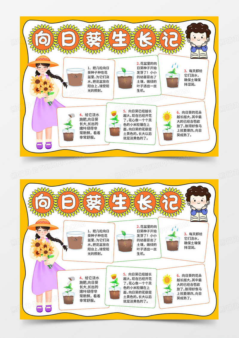 向日葵生长记手抄报模板