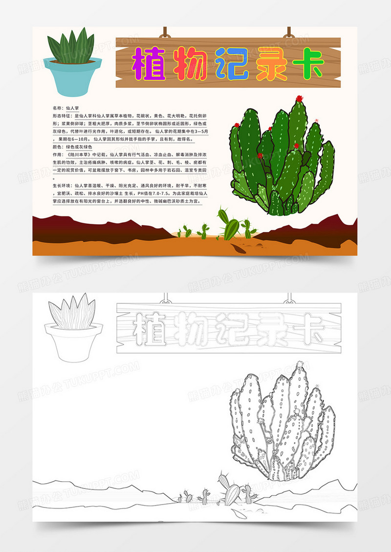 植物记录卡手抄报仙人掌小报