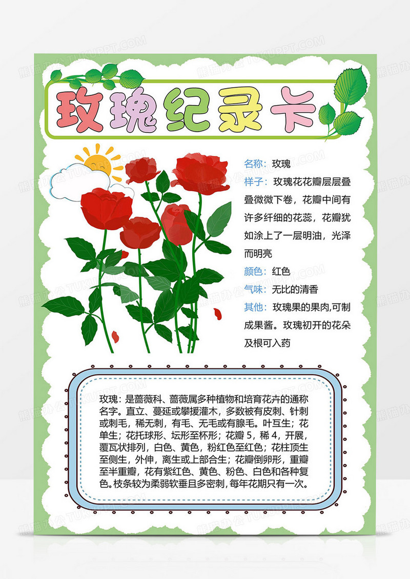 玫瑰花纪录卡手抄报玫瑰生长记小报模板