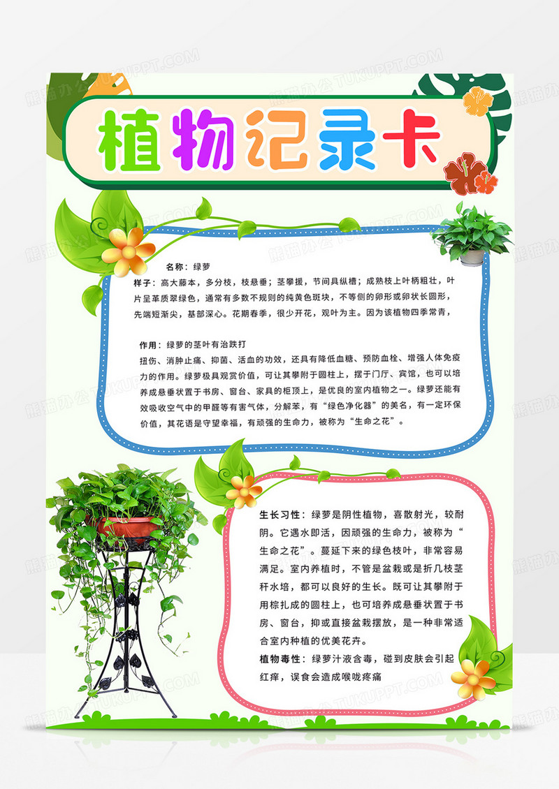 竖版植物记录卡手抄报绿萝小报