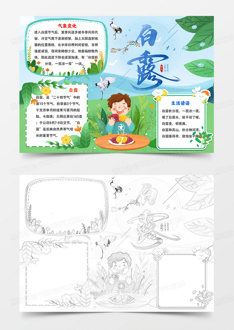 白露小报白露节气手抄报