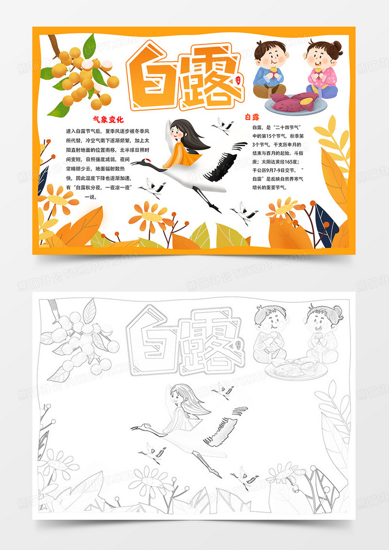 卡通白露手抄报白露节气小报线描模板
