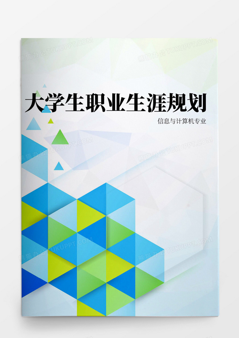 信息与计算机科学专业大学生职业生涯规划书