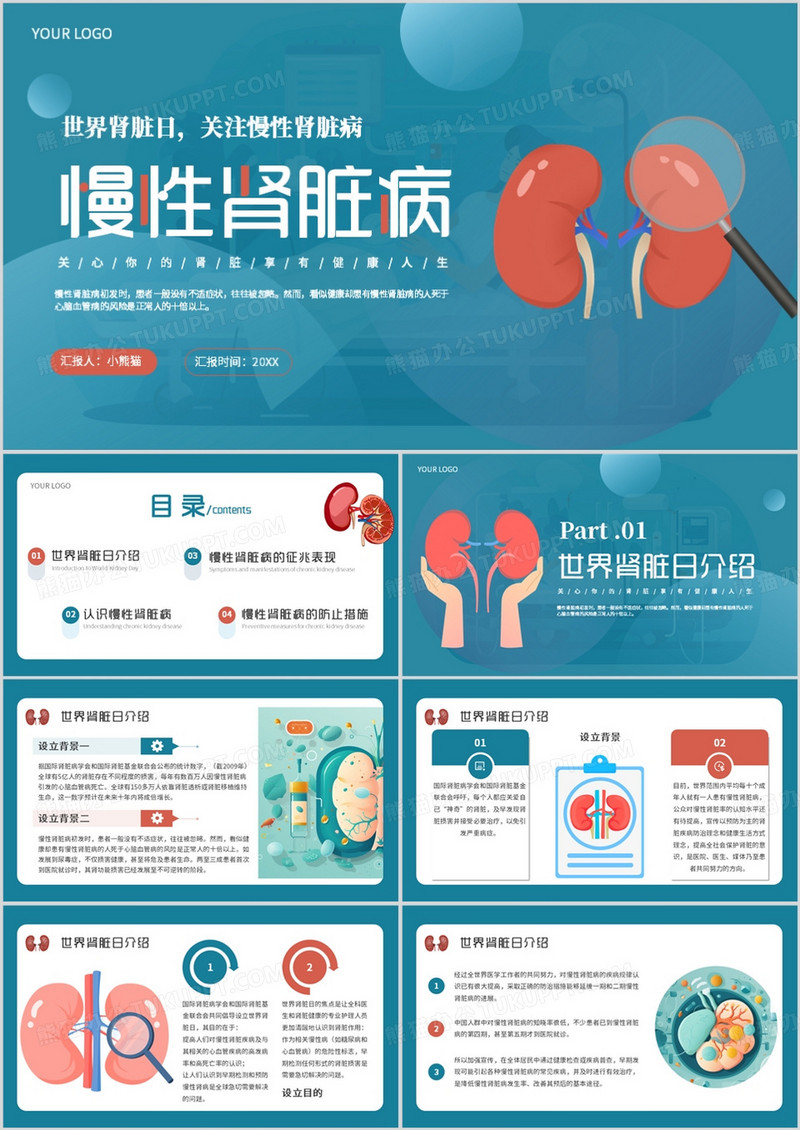蓝色简约风慢性肾脏病宣传教育PPT模板