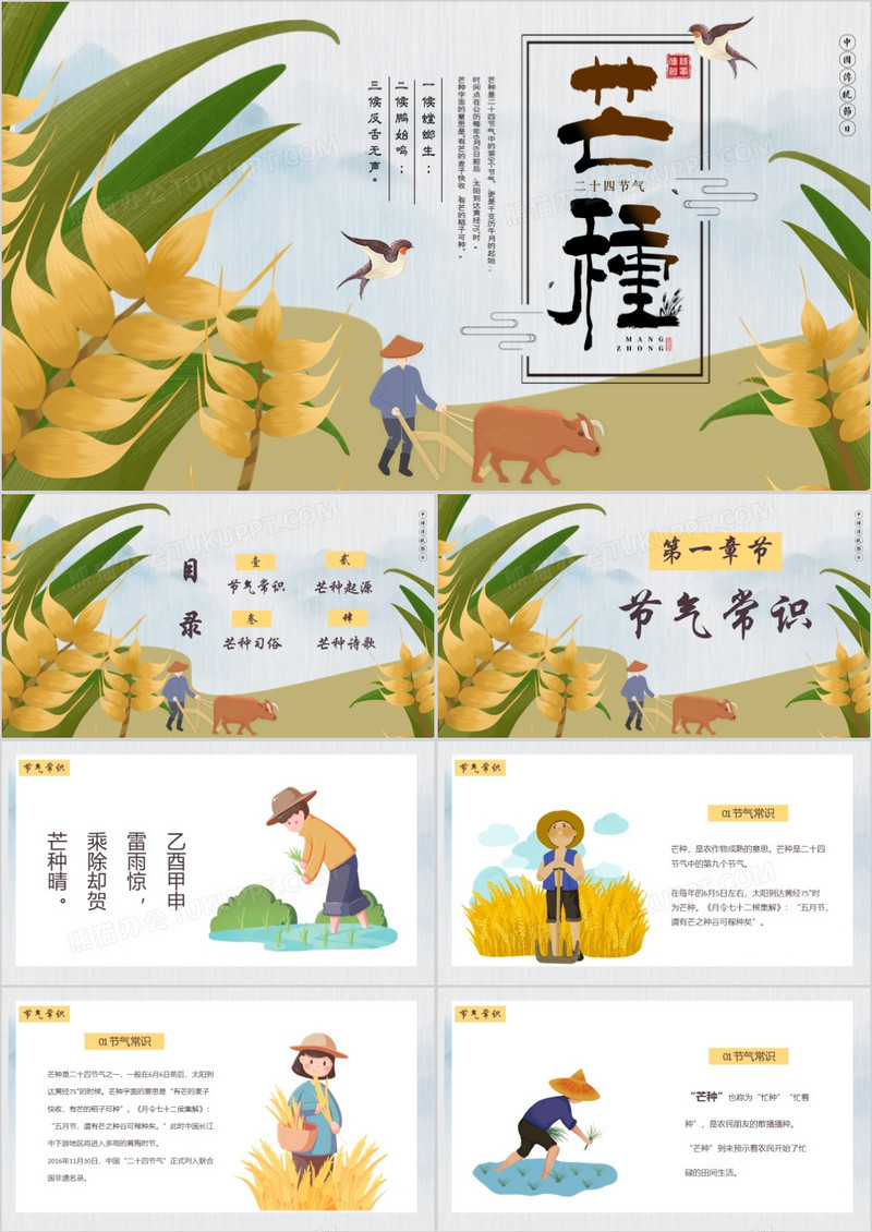 芒种节气宣传PPT模版