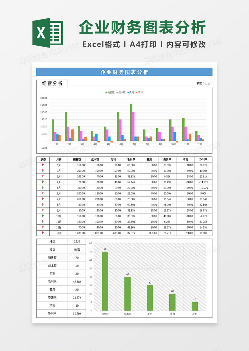 企业财务图表分析Excel模板